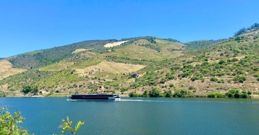 Porto: Douro Valley Private Tour 2 Vineyards & River Cruise - The second Sabrosa vineyard visit, more tasting, and better context
