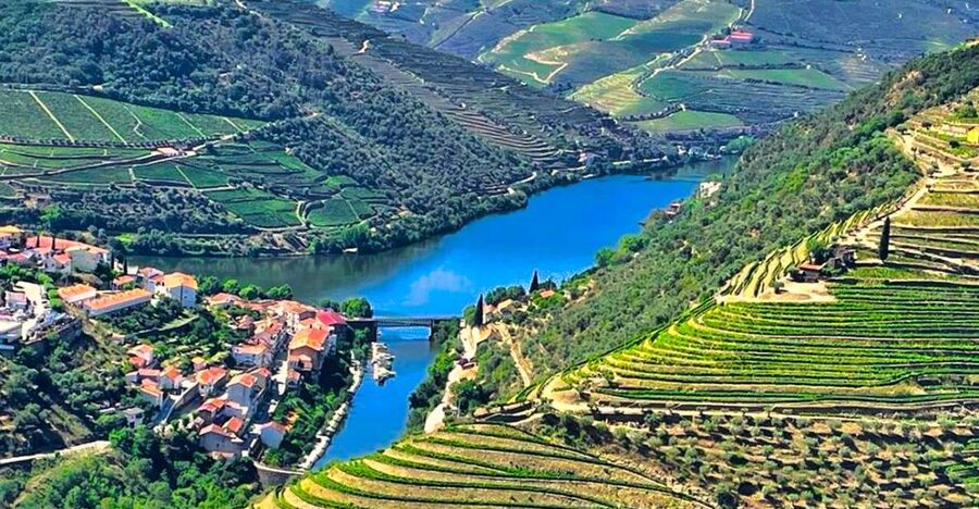 Porto: Douro Valley Private Tour 2 Vineyards & River Cruise - The Pinhão setup, then a 1-hour Douro River cruise