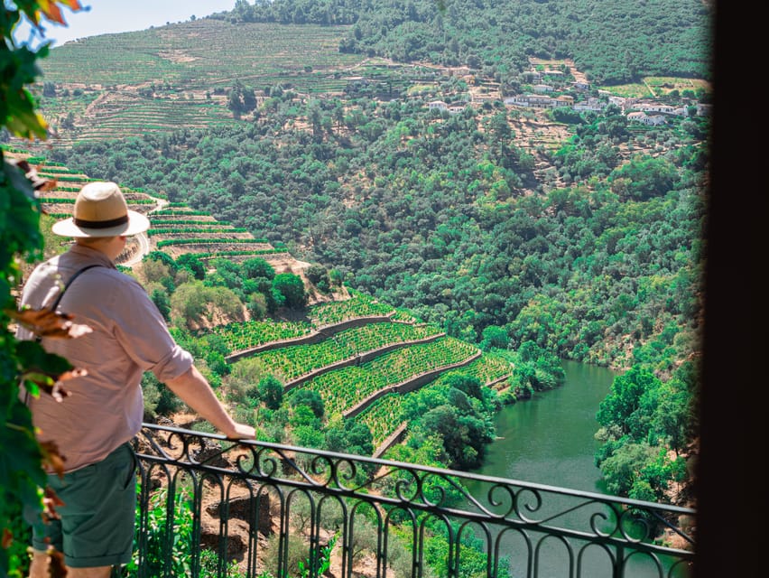 Porto: Douro Valley Private Tour, Tastings, Cruise & Lunch - A Private Douro Route That Actually Makes Sense