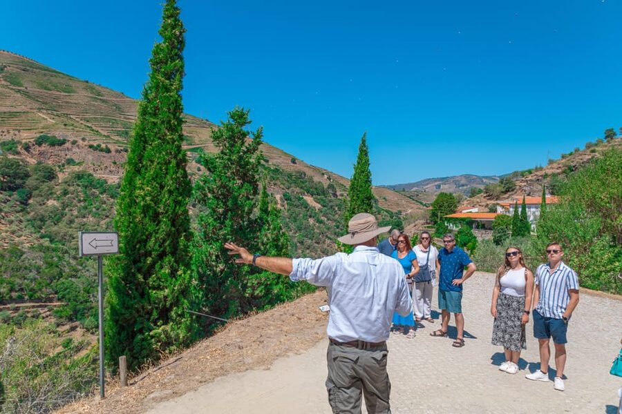 Porto: Douro Valley Private Tour, Tastings, Cruise & Lunch - Quinta Visits for Port Wine, Tastings, and Real Vineyard Time