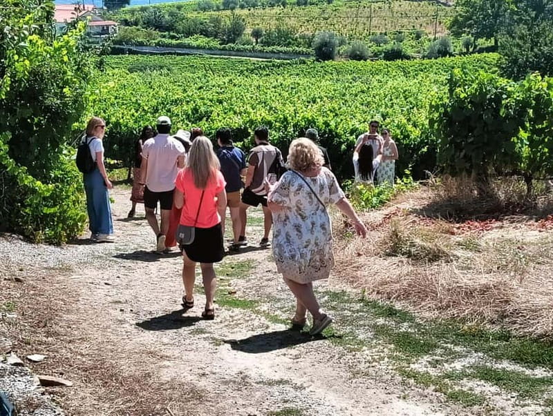 Porto: Douro Valley Tour at 2 Wineries with Lunch and Cruise - Key highlights to know before you go