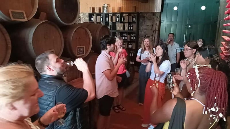 Porto: Douro Valley Tour at 2 Wineries with Lunch and Cruise - Small group value, especially when lunch and tastings are included