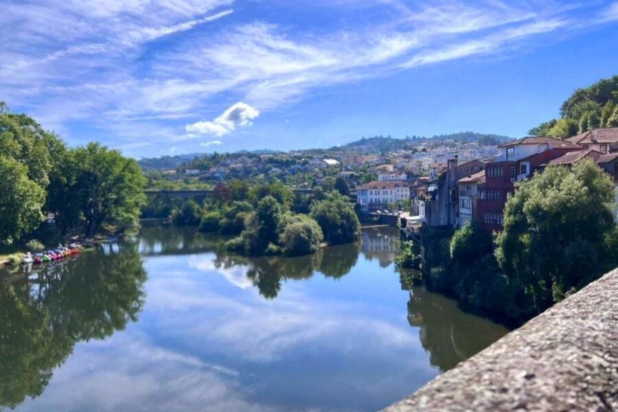 Porto: Douro Valley Tour w/ 3 Tastings, Lunch, & Opt. Cruise - Pinhão train station tiles: the wine story in blue and white