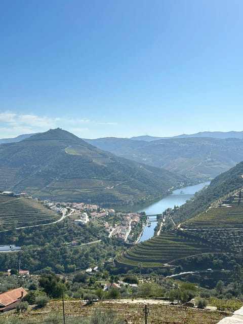 Porto: Douro Valley Tour w/ 3 Tastings, Lunch, & Opt. Cruise - Olive Oil Museum tasting: wine country meets pantry culture
