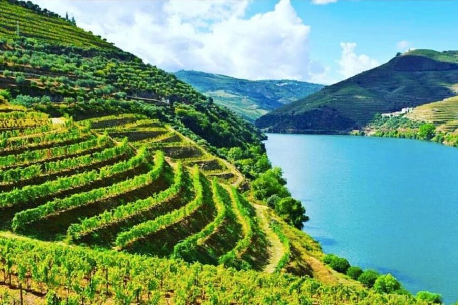 Porto: Douro Valley Tour w/ 3 Tastings, Lunch, & Opt. Cruise - Tawny Port aged 10, 20, and 30 years: the fortified finish