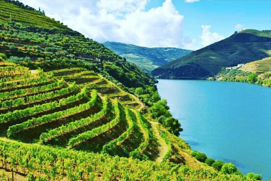 Porto: Douro Valley Tour w/ 3 Tastings, Lunch, & Opt. Cruise - Porto pickup to the High Douro viewpoint rhythm