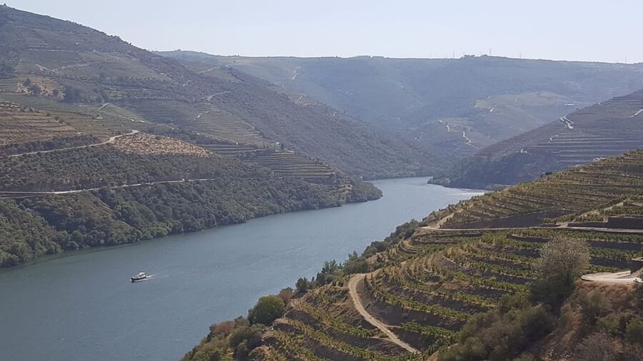 Porto: Douro Valley Tour W/ Wine Taste, Boat Cruise & Lunch - Your first Douro Valley winery visit: tasting with context