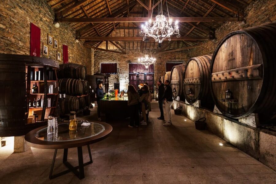 Porto: Douro Valley Tour with 2 Wineries, Lunch and Cruise - Who should book this Douro day trip, and who should skip it