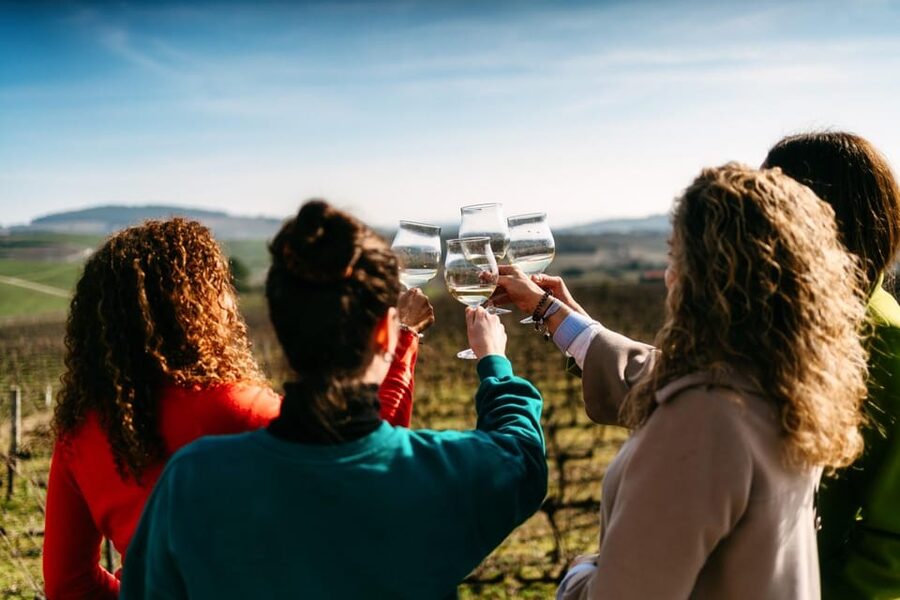 Porto: Douro Valley Tour with 2 Wineries, Lunch and Cruise - Quinta da Avassada: the vineyard-and-tasting combo that turns wine into a lesson