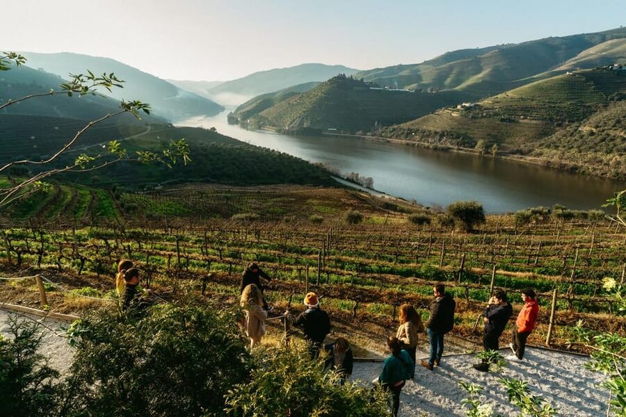 Porto: Douro Valley Tour with 2 Wineries, Lunch and Cruise - Lunch at Quinta de São Luiz: Port barrels, high views, and a chef-prepared menu