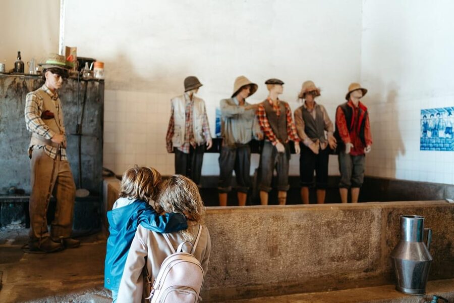 Porto: Douro Valley Tour with 2 Wineries, Lunch and Cruise - Value check: what $195 buys you and why it can pencil out