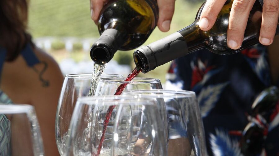 Porto: Douro Valley Tour with 3 vineyards and lunch. - Quick reasons this Douro day trip works