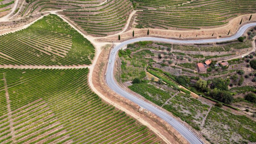 Porto: Douro Valley Tour with 3 vineyards and lunch. - What tastings actually mean on a 1-day schedule