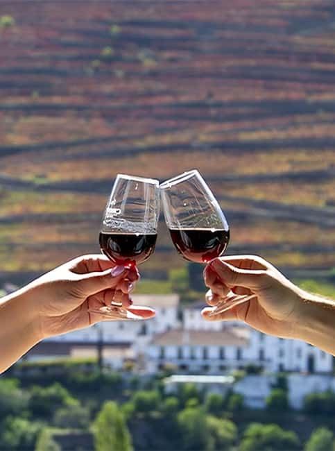 Porto: Douro Valley Tour with 3 vineyards and lunch. - Pinhão: the first estate hour and why it sets the tone