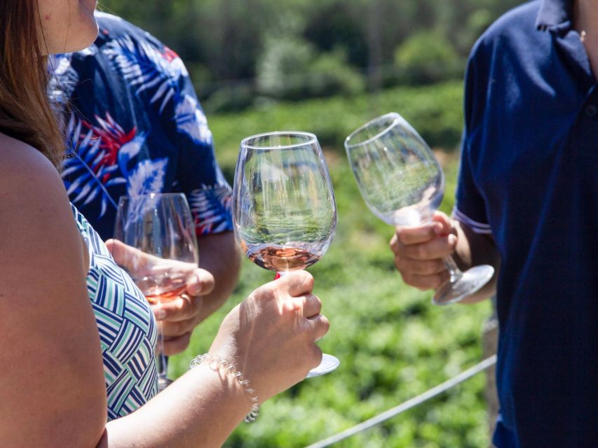 Porto: Douro Valley Tour with 3 vineyards and lunch. - Sabrosa lunch and wine tasting: where the day becomes personal