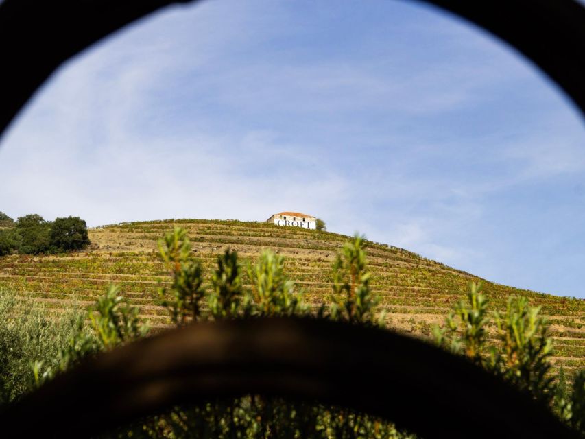Porto: Douro Valley Tour with 3 vineyards and lunch. - The drive back to Porto: staying comfortable through the whole day