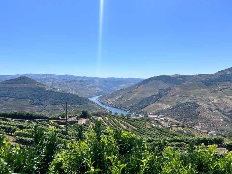 Porto: Douro Valley Tour with 3 Wineries and Lunch - Meeting at Trindade and the small-group pace (max 8 people)