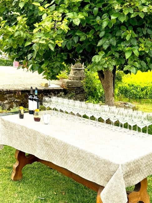 Porto: Douro Valley Tour with 3 Wineries and Lunch - Pinhão winery stop: wine tasting in the middle of the river valley