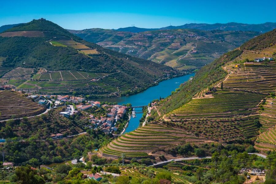 Porto: Douro Valley Tour with Lunch, Boat Cruise & Tastings - Lunch in a Wine Cellar: Douro Pairings and Real-World Food