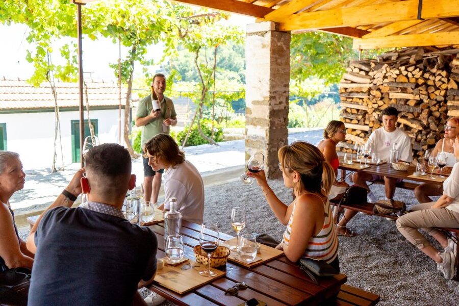 Porto: Douro Valley Tour with Lunch, Boat Cruise & Tastings - Value Check for a Porto Day: What $82 Buys You