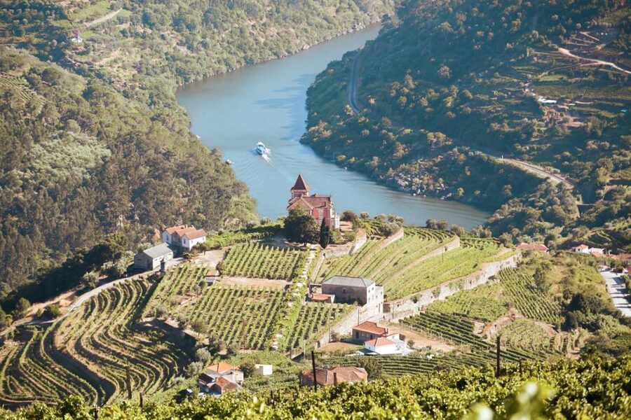 Porto: Douro Valley Tour with Wine Tasting, Cruise and Lunch - Key highlights to know before you go