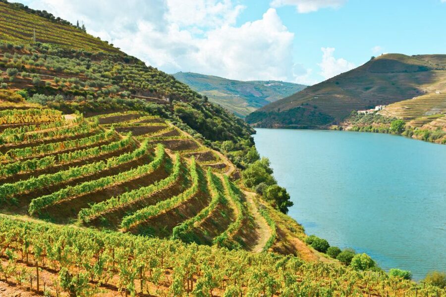 Porto: Douro Valley Tour with Wine Tasting, Cruise and Lunch - What to pack, and how to get the most from tastings