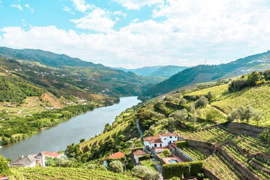 Porto: Douro Valley Tour with Wine Tasting, Cruise and Lunch - A smart, full-day format for first-timers in the Douro Valley
