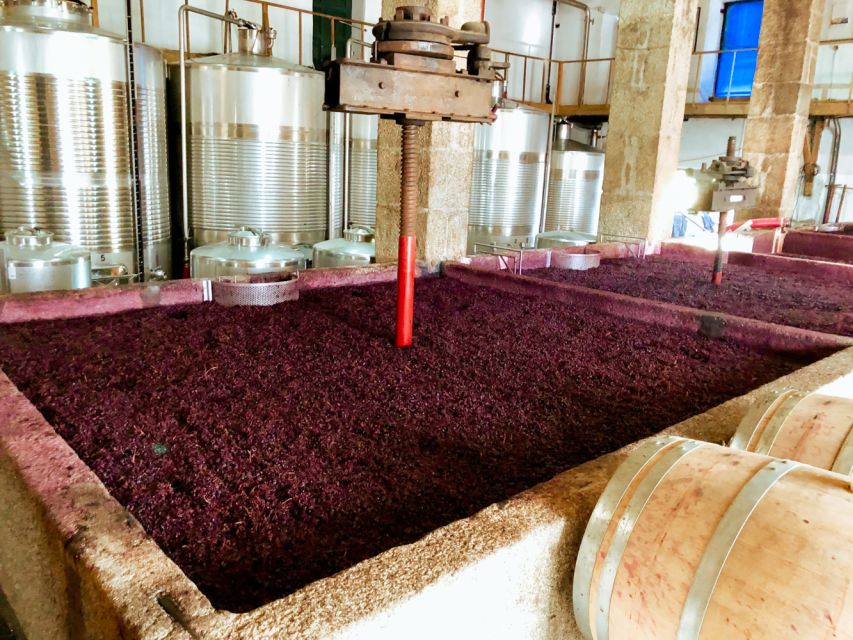 Porto: Douro Valley Tour with Wine Tasting, Cruise and Lunch - Lunch in the Douro Valley: what you’re paying for