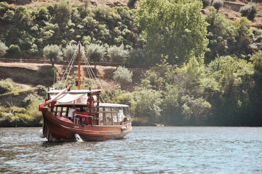 Porto: Douro Valley Tour with Wine Tasting, Cruise and Lunch - Winery stop #2 plus Sabrosa photos: more tasting, more comparison