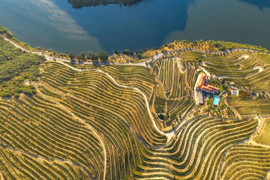 Porto: Douro Valley Tour with Wine Tasting, Cruise and Lunch - Pinhão boat cruise on the Douro: the views do the work