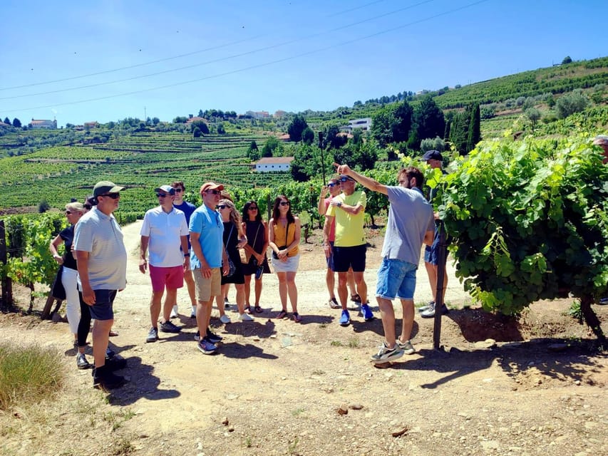 Porto: Douro Valley Vineyards Tour with Lunch & River Cruise - Key Points Worth Knowing