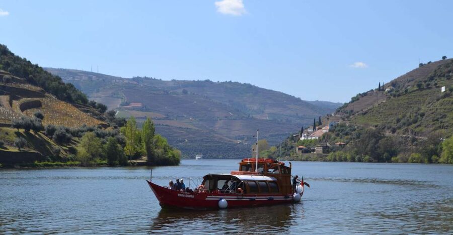 Porto: Douro Valley Vineyards Tour with Lunch & River Cruise - Douro Valley Wines Plus a River Cruise, a Smart One-Day Mix