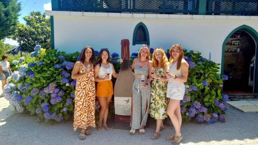 Porto: Douro Valley Vineyards Tour with Lunch & River Cruise - Value for $111, What You Get for a Full Day