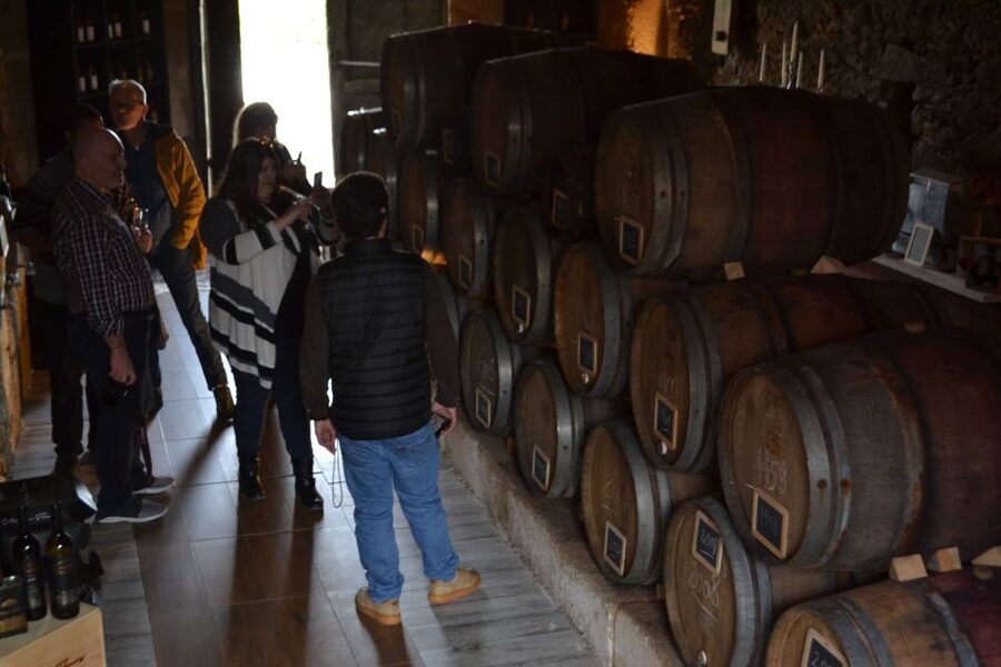 Porto: Douro Valley Vineyards Tour with Lunch & River Cruise - Pickup in Porto and the Long, Easy Coach Ride Up the Valley