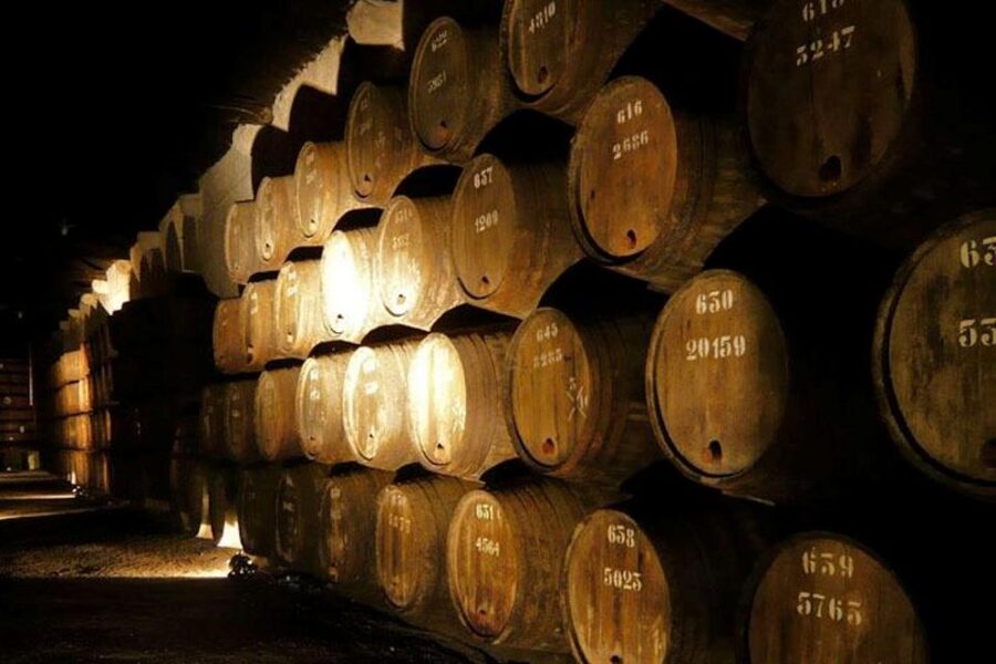 Porto: Douro Valley Wine Tour - Key Things That Make This Tour Worth Your Time