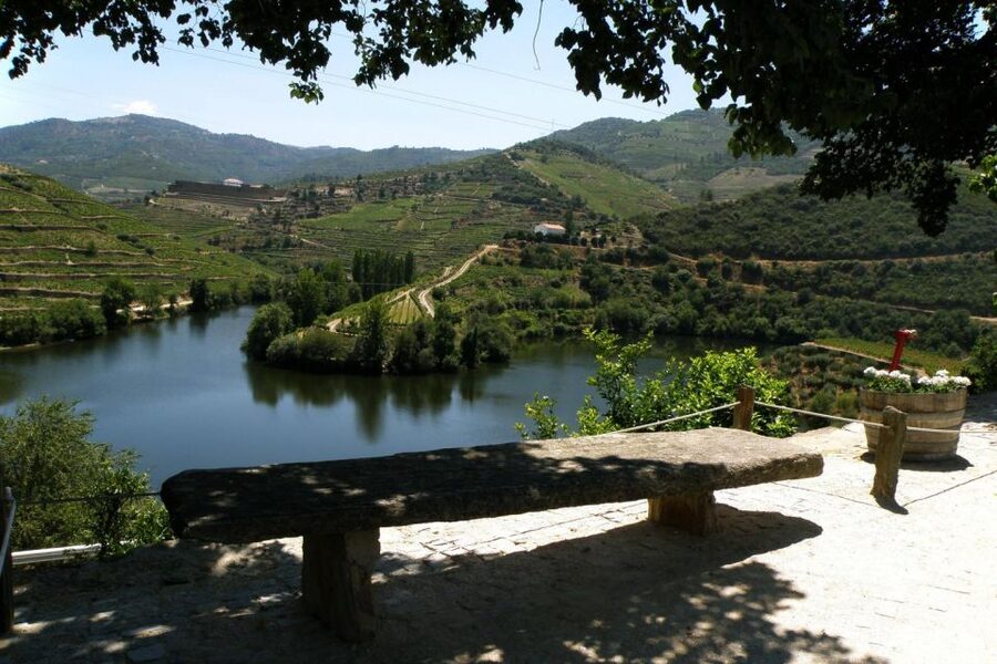Porto: Douro Valley Wine Tour - Meeting in Porto: Where You Start and How the Timing Works