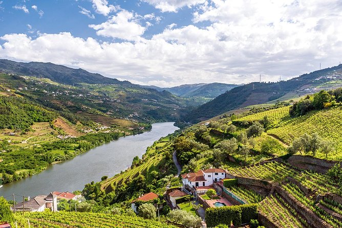 Porto: Douro Valley Wine Tour Including Lunch - The São Cristovão Viewpoint Pause and the National Road 222 Drive