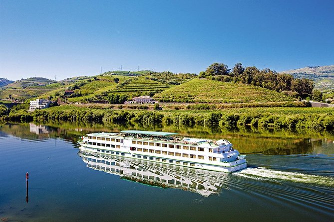 Porto: Douro Valley Wine Tour Including Lunch - The First Winery Stop: Adeg as, Cellars, and Tasting Notes That Make Sense