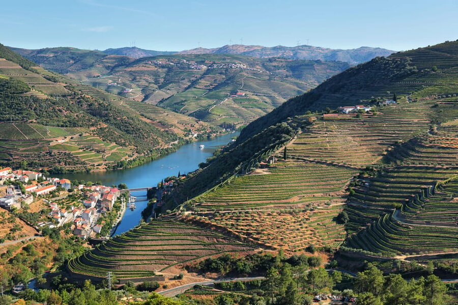 Porto: Douro Valley Wine Tour with a Sommelier & Boat Trip - Penafiel Vinho Verde Winery: Olive Groves, Vineyard Time, and Your First Tasting Party