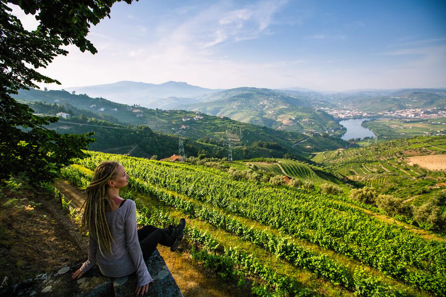 Porto: Douro Valley Wine Tour with a Sommelier & Boat Trip - The N222 Road and Douro Valley Photo Stops: When the Drive Becomes the Attraction