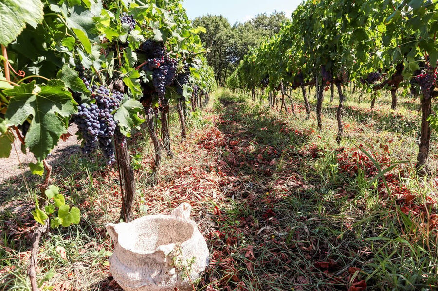 Porto: Douro Valley Wine Tour with a Sommelier & Boat Trip - Pinhão Lunch and the 1-Hour Douro River Cruise: The Best Time to Slow Down