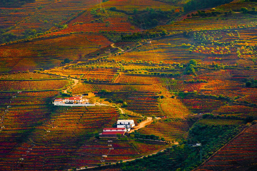 Porto: Douro Valley Wine Tour with a Sommelier & Boat Trip - Price and Value: How $127 Makes Sense for a Full Day with Lunch, Boat, and Two Wineries