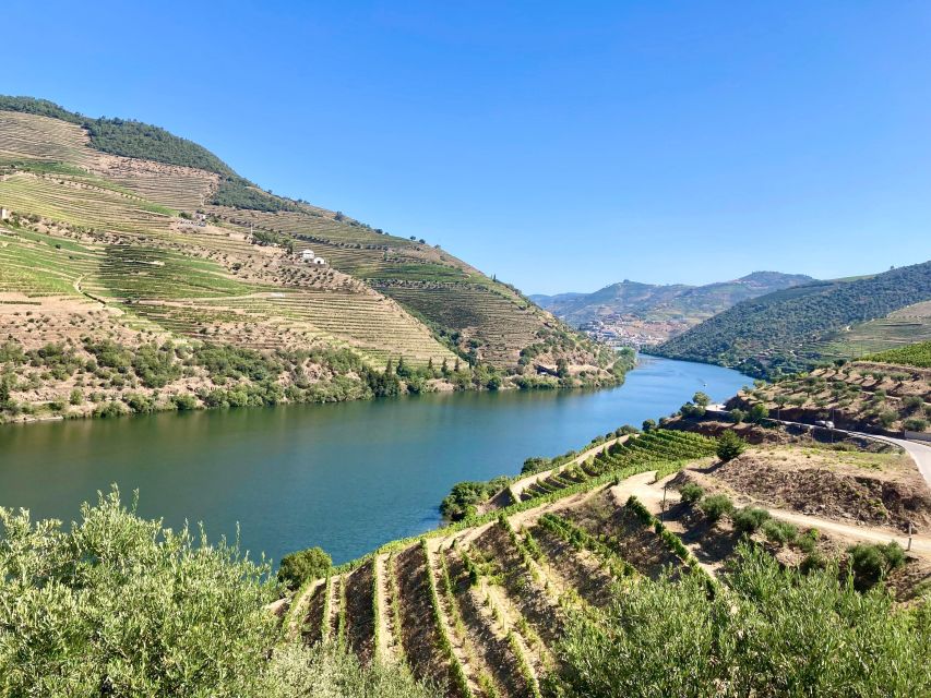 Porto: Douro Valley Wine Tour with Tastings, Boat, and Lunch - Key highlights you will feel the most