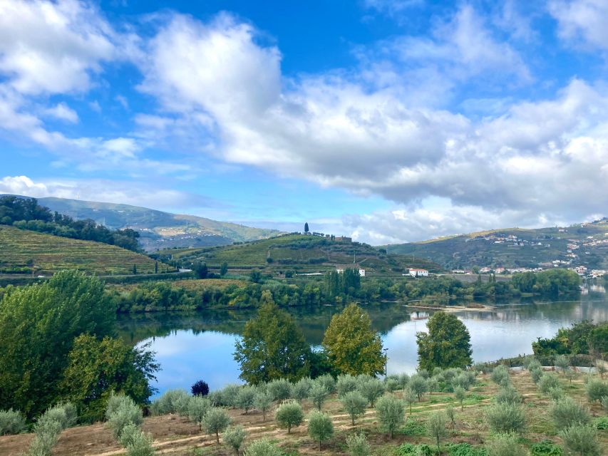 Porto: Douro Valley Wine Tour with Tastings, Boat, and Lunch - Why a max-8 Douro day feels different than big-bus wine tours