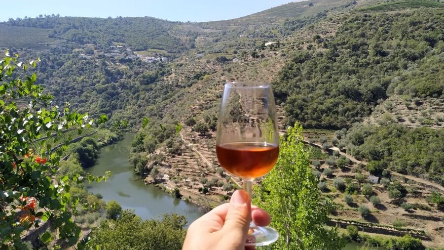 Porto: Douro Valley Wine Tour with Tastings, Boat, and Lunch - The Douro from the water: small-boat cruise with Port wine