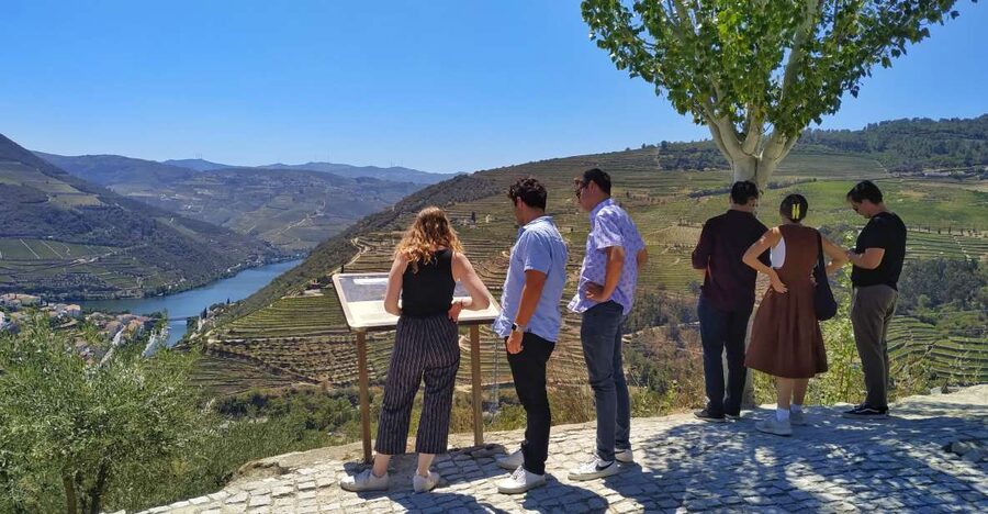 Porto: Douro Valley Wine Tour with Tastings, Boat, and Lunch - Second tasting: premium Port, including Vintage Port