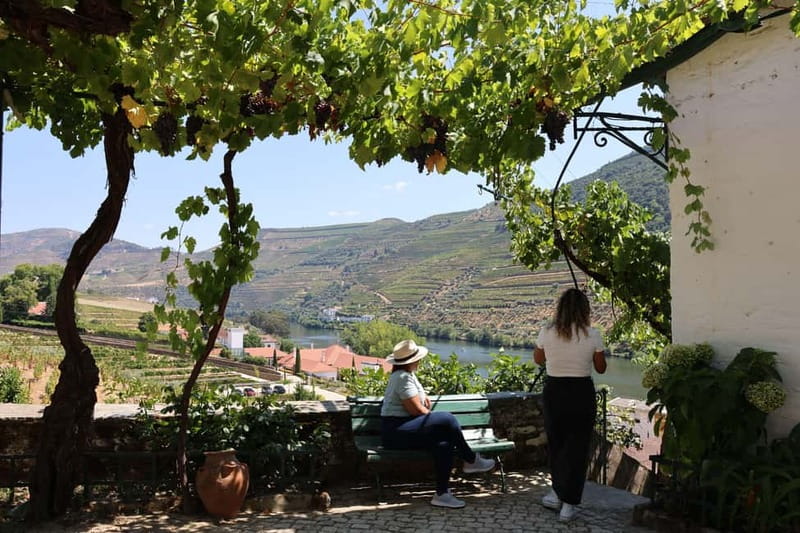 Porto: Douro Valley with Small Wineries, Lunch and Boat Tour - Returning to Porto: finish time and how to plan your evening
