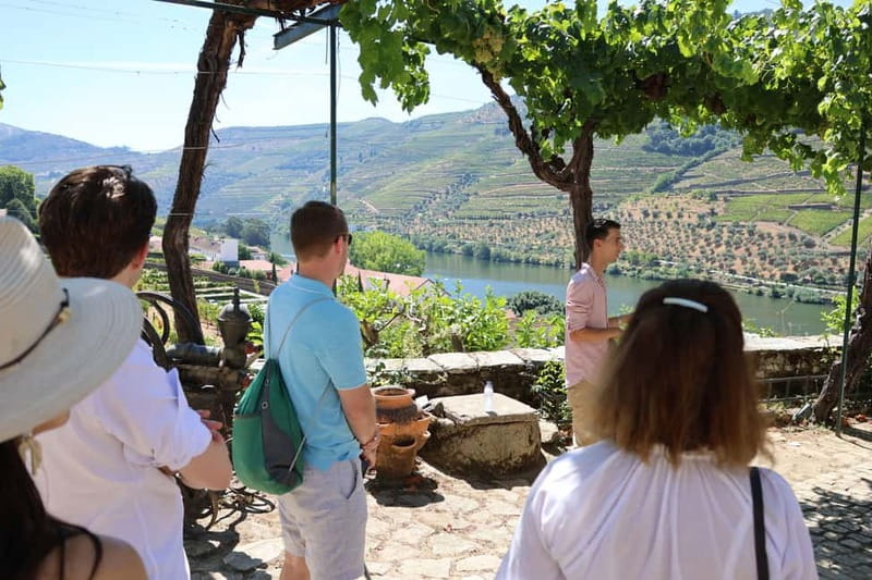 Porto: Douro Valley with Small Wineries, Lunch and Boat Tour - Price and value: is $111 per person a fair deal?