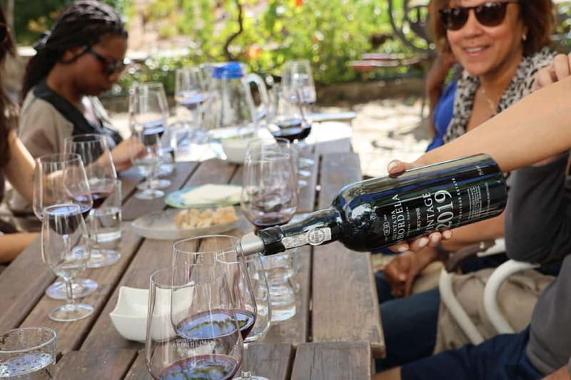 Porto: Douro Valley with Small Wineries, Lunch and Boat Tour - Getting there: van ride, smart pickup limits, and the bridge reality