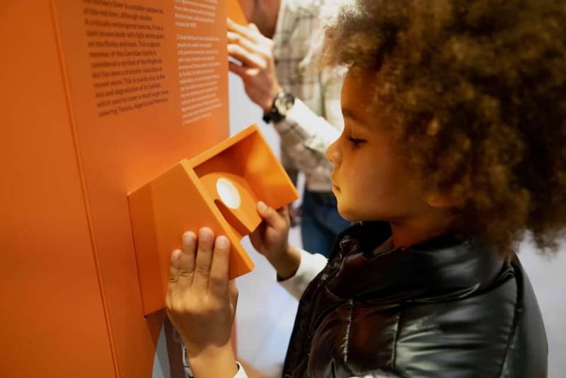 Porto: Entry Ticket at WOW - Planet Cork Museum - Make your own cork stopper, the best take-home souvenir